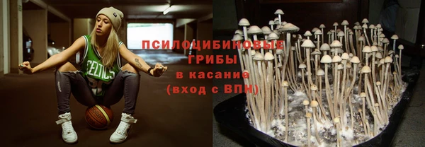 МДПВ Верея