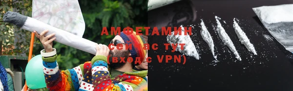 хмурый Бородино