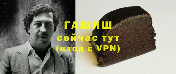 хмурый Бородино