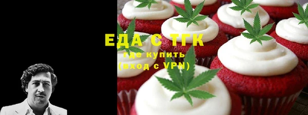 хмурый Бородино