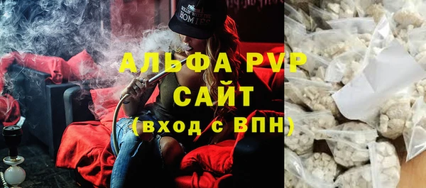 хмурый Бородино