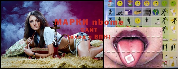 хмурый Бородино