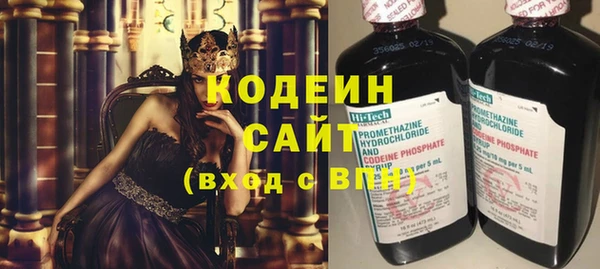 хмурый Бородино