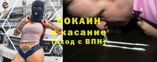 хмурый Бородино