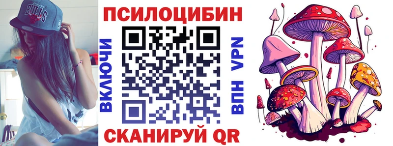 Галлюциногенные грибы Psilocybe  гидра зеркало  Тихвин  продажа наркотиков 